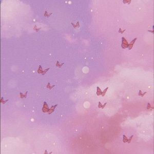 Meet your Posher, Cielo